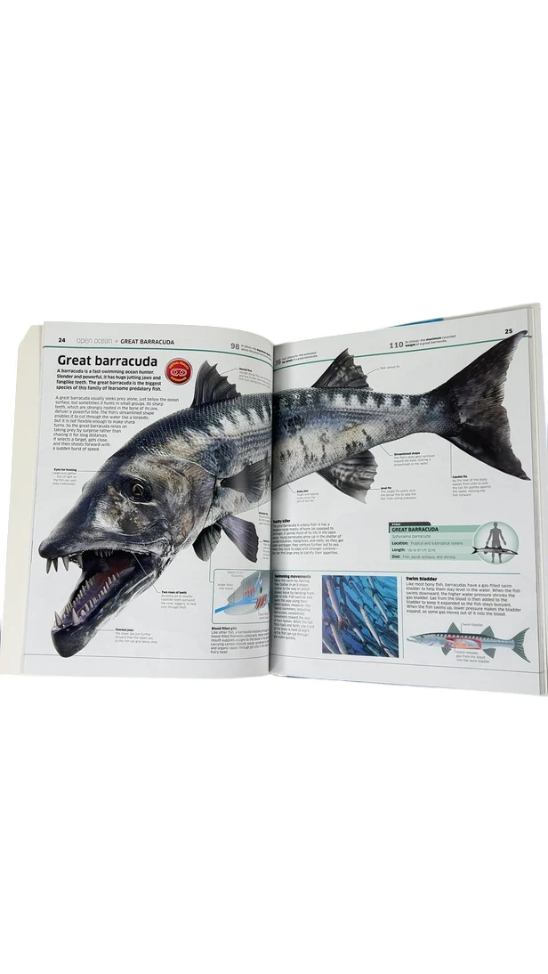 Abacus Brands Virtual Reality Discovery Gift Set With DK Book, Oceans - Image 3
