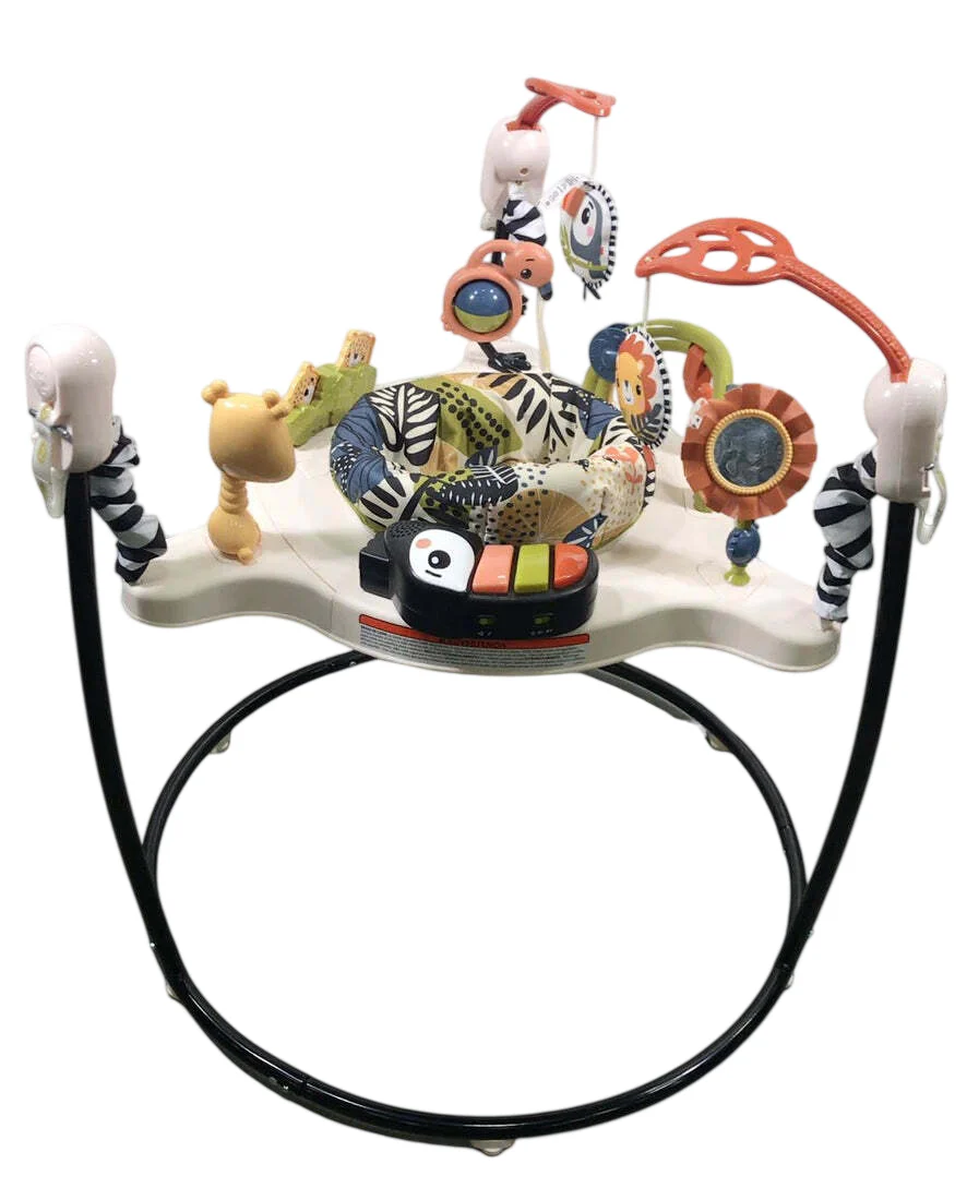 Fisher Price Jumperoo Activity Center, Palm Paradise