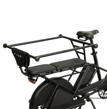 Radio Flyer Kid & Cargo Carrier Hoop, 2 Kids - Image 2
