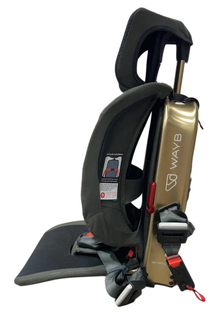 WAYB Pico Portable Car Seat, 2023, Earth - Image 2